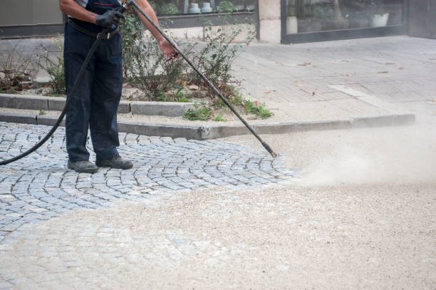 Best Sidewalk and Walkway Cleaning  in Oak Trail Shores, TX