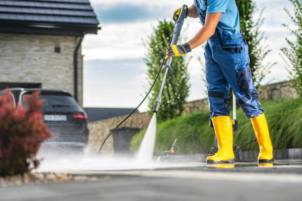 Best Solar Panel Cleaning  in Oak Trail Shores, TX